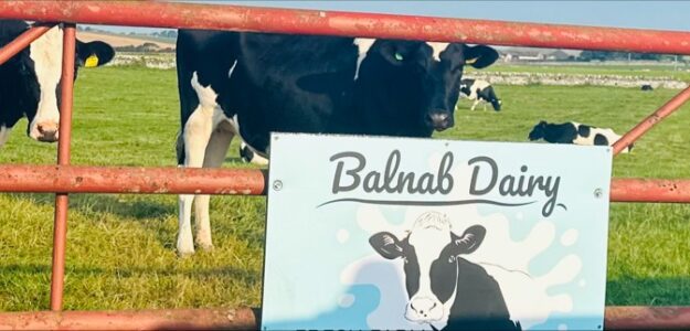 Balnab dairy