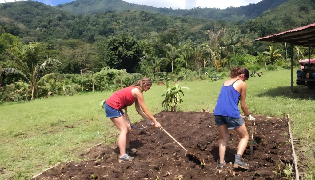 Eco volunteering in Costa Rica