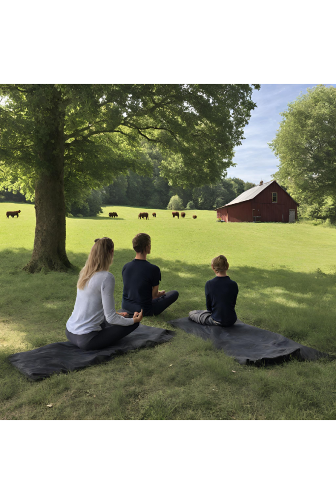 mindfulness at a farm
